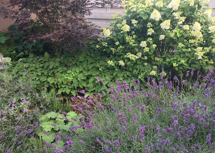 Weinreisedomizil Mit Eigenem Garten Und Parkplatz