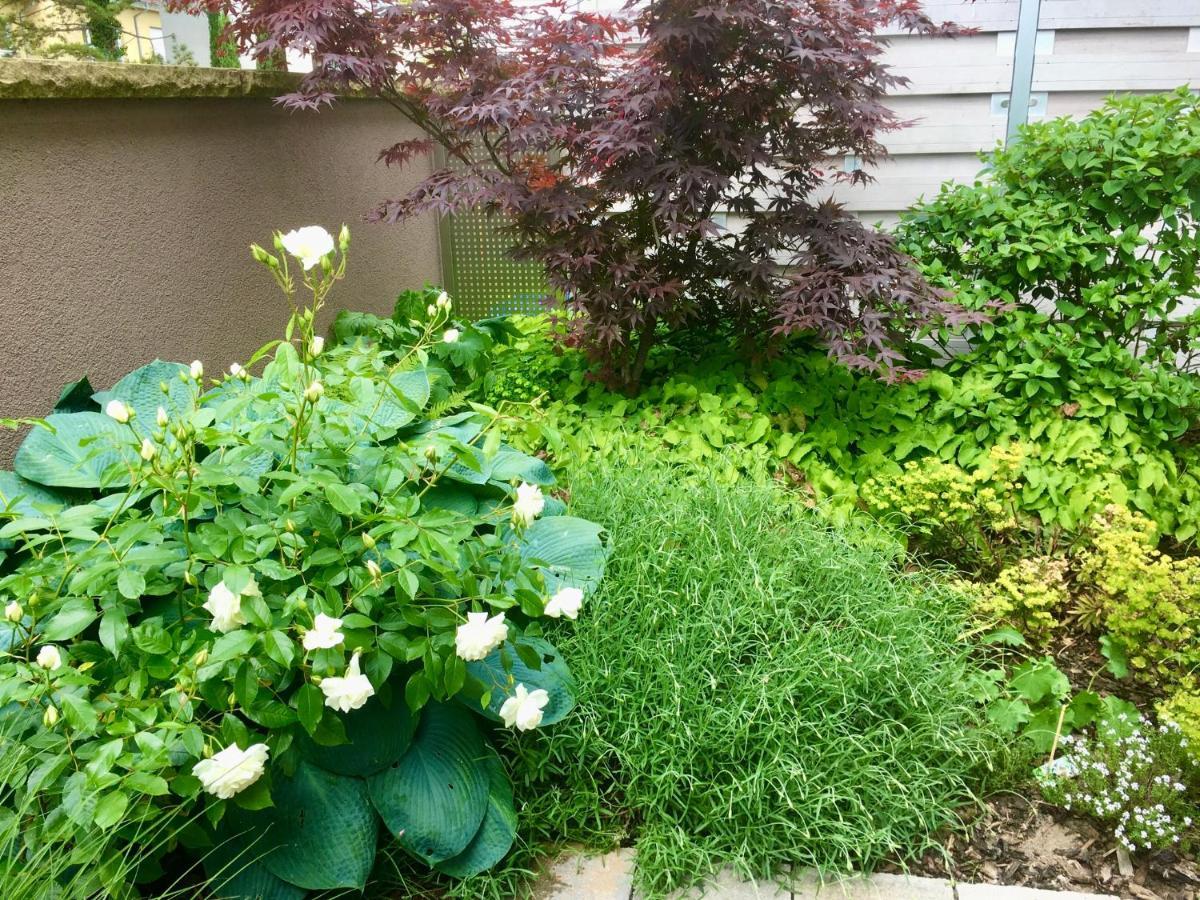 Weinreisedomizil Mit Eigenem Garten Und Parkplatz Apartment *